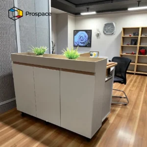 PROSPACE Kabinet Rak - B-AG00201