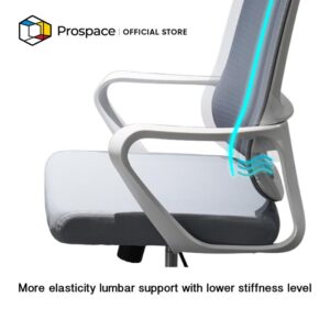 PROSPACE Kursi Kantor - B-BGY005