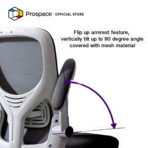 PROSPACE Kursi Kantor - B-BGY006