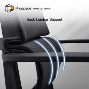 PROSPACE Kursi Kantor - B-BGY00701