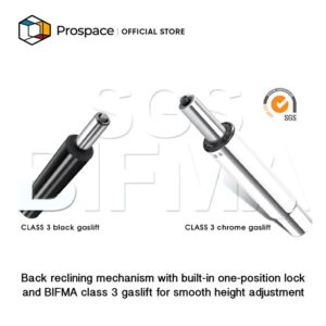 PROSPACE Kursi Kantor - B-BGY00701