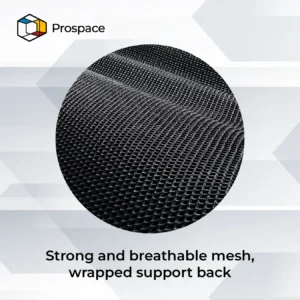 PROSPACE Kursi Kantor - B-BGY00801