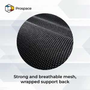 PROSPACE Kursi Kantor - B-PXY001