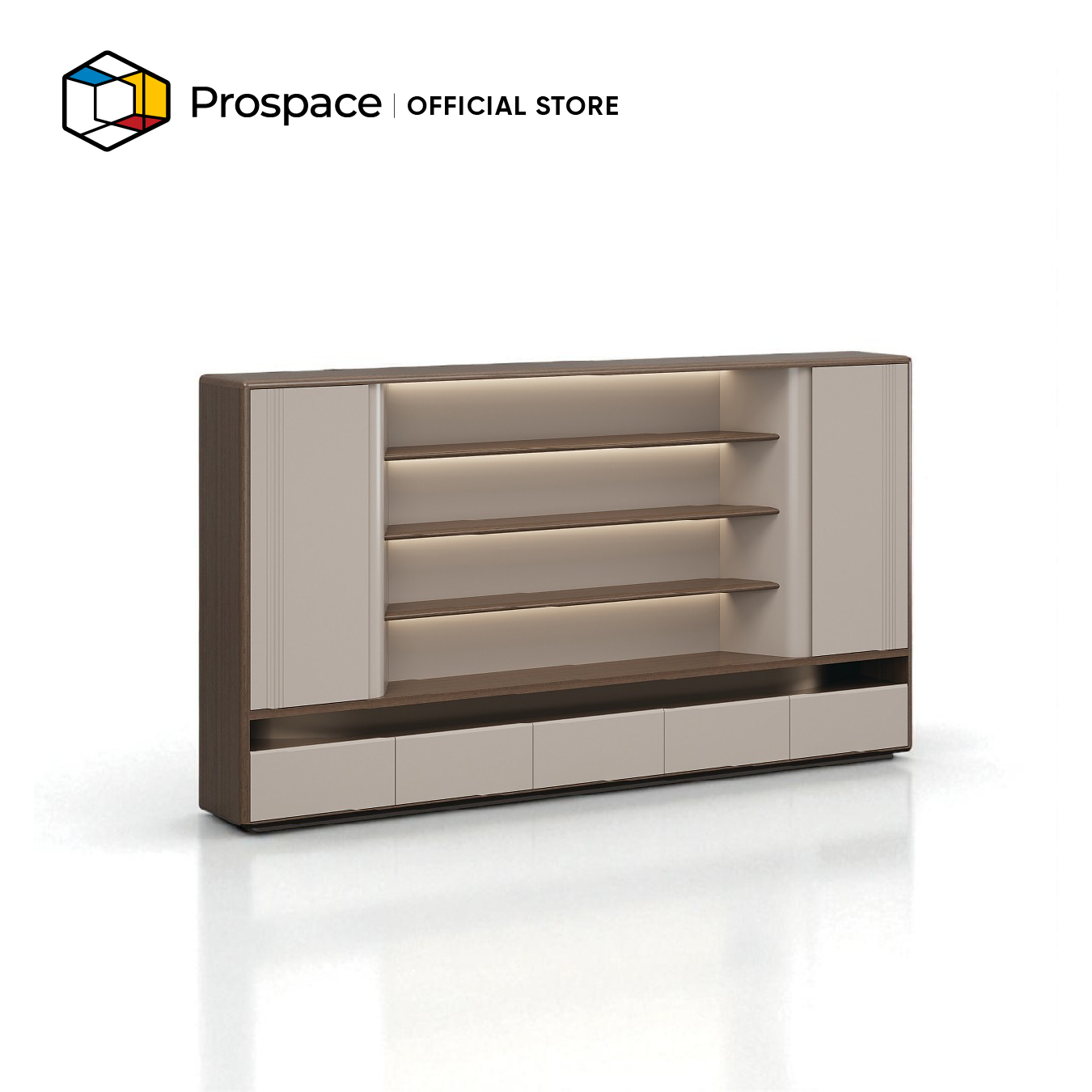 PROSPACE Kabinet Rak - B-WJG00701