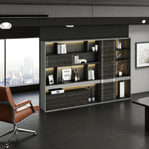 PROSPACE Kabinet Rak – B-WJG01401