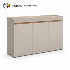 PROSPACE Kabinet Rak - B-AG00201