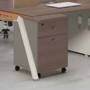 PROSPACE Kabinet Rak - B-HDG001