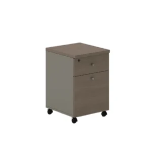 PROSPACE Kabinet Rak - B-HDG001