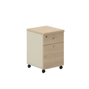 PROSPACE Kabinet Rak - B-HDG001