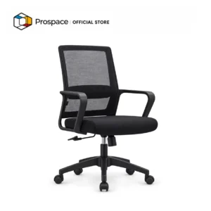 PROSPACE Office Chair - B-BGY01001