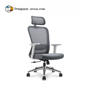 PROSPACE Office Chair - B-BGY01101
