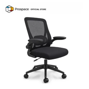 PROSPACE Office Chair - B-BGY01401