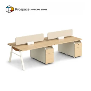 PROSPACE Office Workstation - B-ZYZ02401
