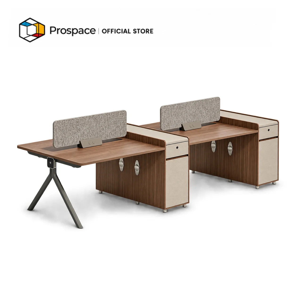 PROSPACE Workstation - B-ZYZ02501
